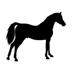 Naklejka koń - 12 cm