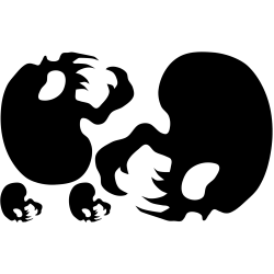 naklejki CZASZKI 4szt rozmiar 6-29 cm Halloween