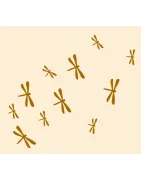 Pająki, ważki, owady