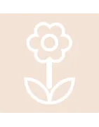 Rośliny, kwiaty, drzewa